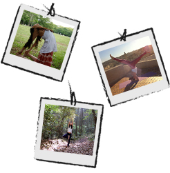 旅してヨガして日本の自然を守ろう Photo Diary