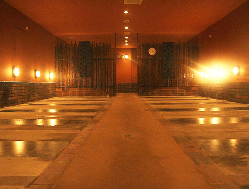 MAHOLO HOT STONE YOGA まほろ岩盤ホットヨガスタジオ