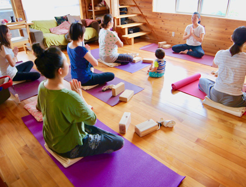 LOTUS SEED ロータスシード